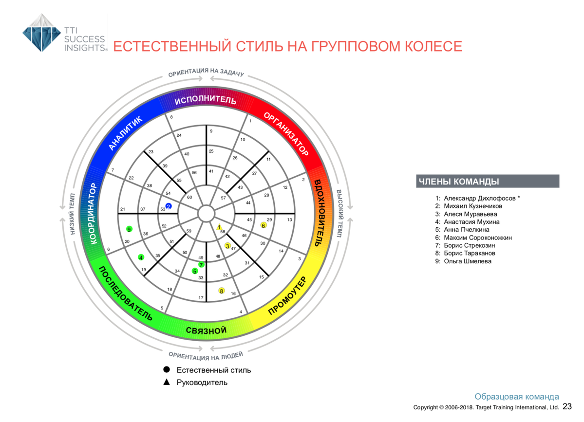 Расшифровка по методу DISC — командный отчёт Talent Insights — Раздел 4 — групповое колесо и сравнение по поведенческим характеристикам по модели DISC