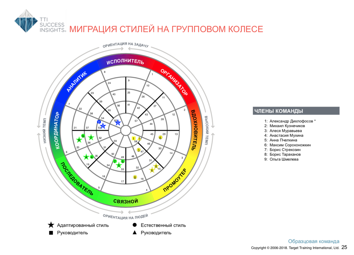 Расшифровка по методу DISC — командный отчёт Talent Insights — Раздел 4 — групповое колесо и сравнение по поведенческим характеристикам по модели DISC
