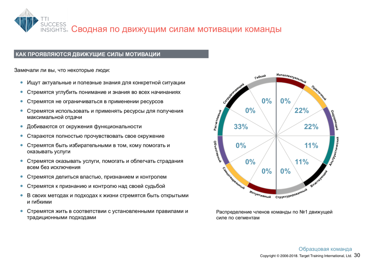 Расшифровка по методу DISC — командный отчёт Talent Insights — Раздел 5 — введение и сводная по 12 движущим силам мотивации*
