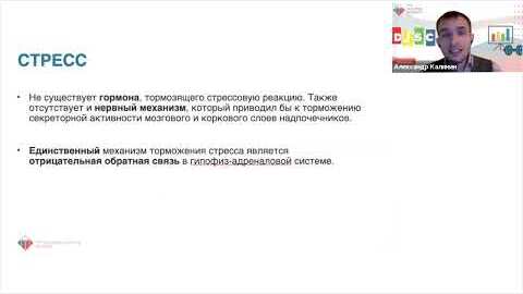 Типажи DISC и стресс — видео 2